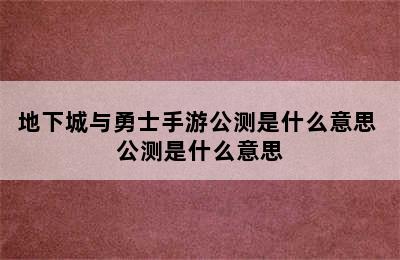 地下城与勇士手游公测是什么意思 公测是什么意思